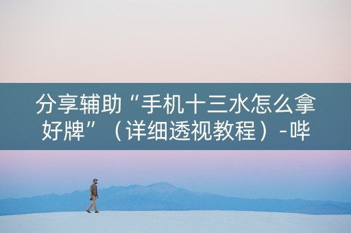 分享辅助“手机十三水怎么拿好牌”（详细透视教程）-哔哩哔哩