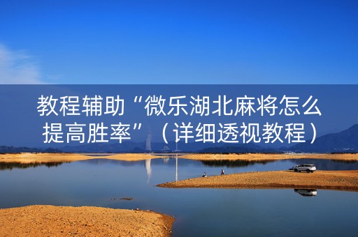 教程辅助“微乐湖北麻将怎么提高胜率”（详细透视教程）-哔哩哔哩