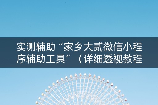 实测辅助“家乡大贰微信小程序辅助工具”（详细透视教程）-哔哩哔哩