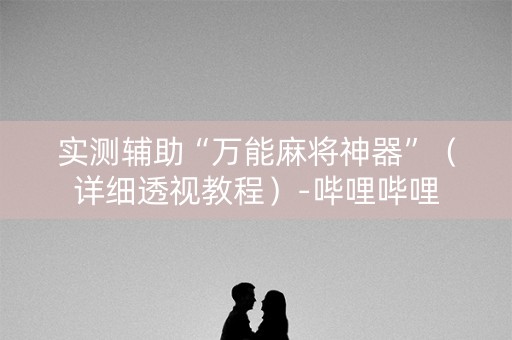 实测辅助“万能麻将神器”（详细透视教程）-哔哩哔哩