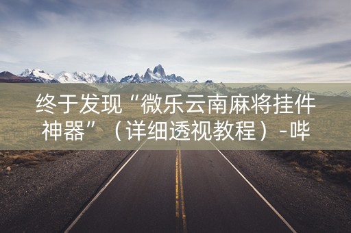 终于发现“微乐云南麻将挂件神器”（详细透视教程）-哔哩哔哩