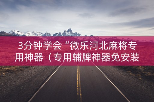 3分钟学会“微乐河北麻将专用神器（专用辅牌神器免安装）