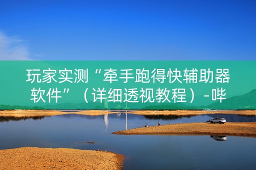 玩家实测“牵手跑得快辅助器软件”（详细透视教程）-哔哩哔哩