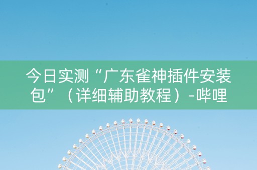 今日实测“广东雀神插件安装包”（详细辅助教程）-哔哩哔哩