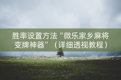 胜率设置方法“微乐家乡麻将变牌神器”（详细透视教程）-哔哩哔哩