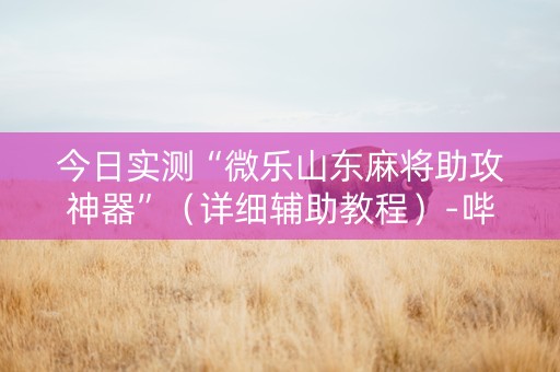 今日实测“微乐山东麻将助攻神器”（详细辅助教程）-哔哩哔哩