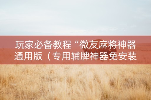 玩家必备教程“微友麻将神器通用版（专用辅牌神器免安装）