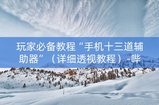 玩家必备教程“手机十三道辅助器”（详细透视教程）-哔哩哔哩