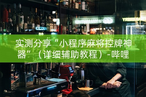 实测分享“小程序麻将控牌神器”（详细辅助教程）-哔哩哔哩