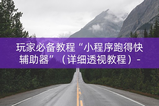 玩家必备教程“小程序跑得快辅助器”（详细透视教程）-哔哩哔哩