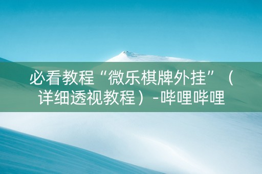 必看教程“微乐棋牌外挂”（详细透视教程）-哔哩哔哩