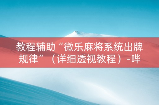 教程辅助“微乐麻将系统出牌规律”（详细透视教程）-哔哩哔哩