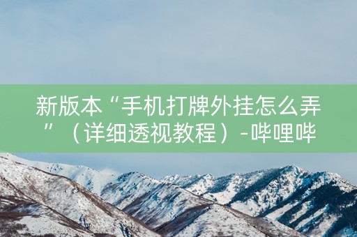 新版本“手机打牌外挂怎么弄”（详细透视教程）-哔哩哔哩