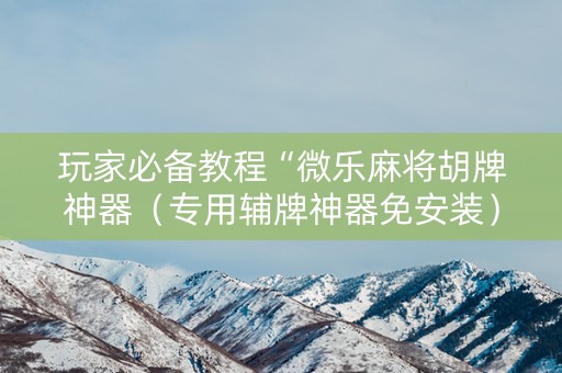 玩家必备教程“微乐麻将胡牌神器（专用辅牌神器免安装）