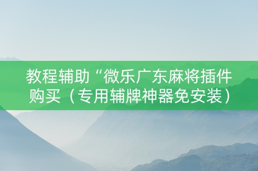 教程辅助“微乐广东麻将插件购买（专用辅牌神器免安装）