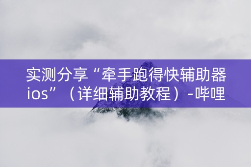 实测分享“牵手跑得快辅助器ios”（详细辅助教程）-哔哩哔哩