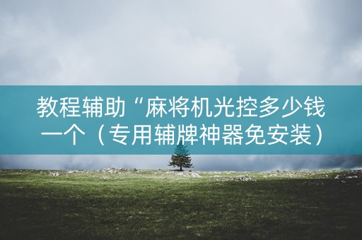 教程辅助“麻将机光控多少钱一个（专用辅牌神器免安装）