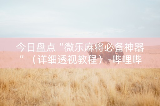 今日盘点“微乐麻将必备神器”（详细透视教程）-哔哩哔哩