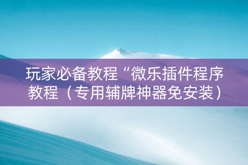 玩家必备教程“微乐插件程序教程（专用辅牌神器免安装）