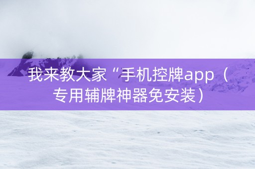 我来教大家“手机控牌app（专用辅牌神器免安装）