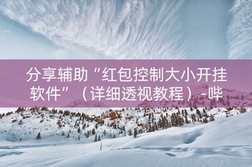 分享辅助“红包控制大小开挂软件”（详细透视教程）-哔哩哔哩
