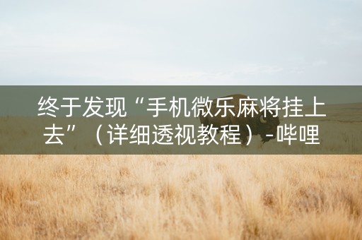 终于发现“手机微乐麻将挂上去”（详细透视教程）-哔哩哔哩