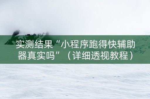 实测结果“小程序跑得快辅助器真实吗”（详细透视教程）-哔哩哔哩