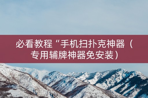 必看教程“手机扫扑克神器（专用辅牌神器免安装）