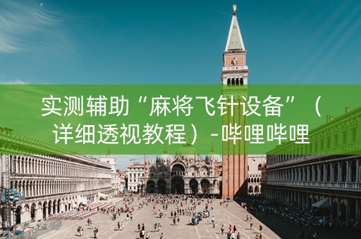 实测辅助“麻将飞针设备”（详细透视教程）-哔哩哔哩