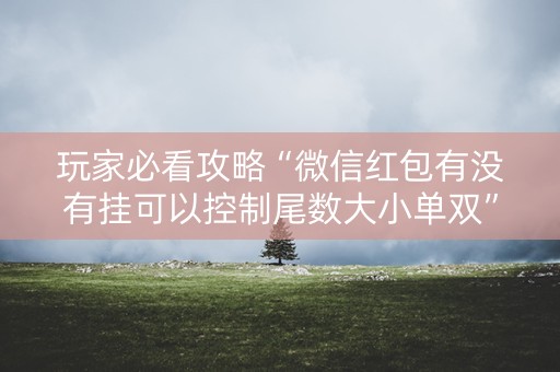 玩家必看攻略“微信红包有没有挂可以控制尾数大小单双”（详细透视教程）-哔哩哔哩