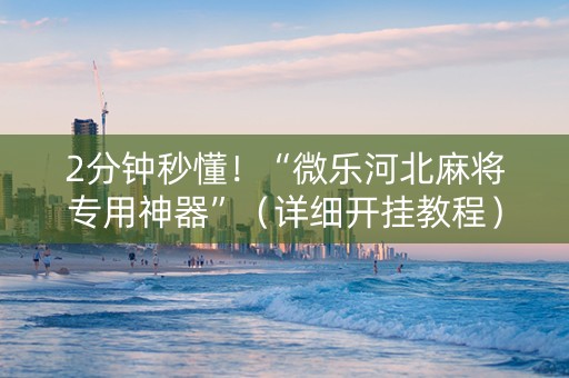 2分钟秒懂！“微乐河北麻将专用神器”（详细开挂教程）-哔哩哔哩