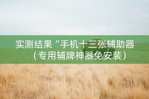 实测结果“手机十三张辅助器（专用辅牌神器免安装）