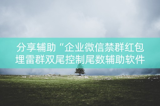 分享辅助“企业微信禁群红包埋雷群双尾控制尾数辅助软件”（详细透视教程）-哔哩哔哩