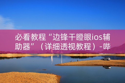 必看教程“边锋干瞪眼ios辅助器”（详细透视教程）-哔哩哔哩