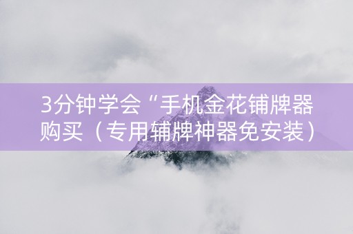 3分钟学会“手机金花铺牌器购买（专用辅牌神器免安装）