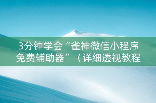 3分钟学会“雀神微信小程序免费辅助器”（详细透视教程）-哔哩哔哩