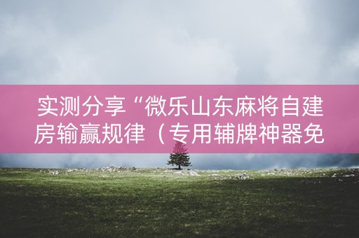 实测分享“微乐山东麻将自建房输赢规律（专用辅牌神器免安装）
