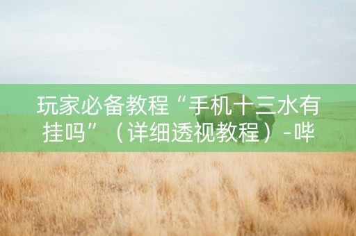 玩家必备教程“手机十三水有挂吗”（详细透视教程）-哔哩哔哩