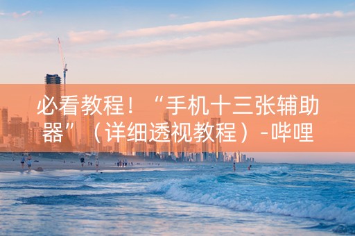 必看教程！“手机十三张辅助器”（详细透视教程）-哔哩哔哩