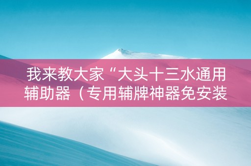 我来教大家“大头十三水通用辅助器（专用辅牌神器免安装）
