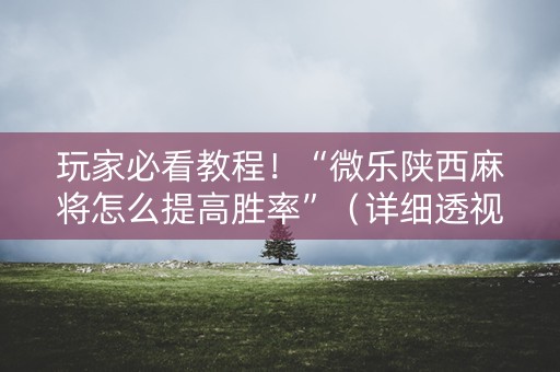 玩家必看教程！“微乐陕西麻将怎么提高胜率”（详细透视教程）-哔哩哔哩