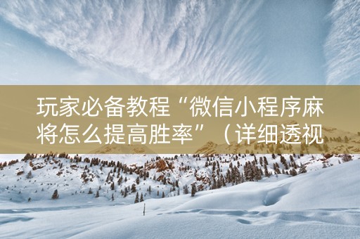 玩家必备教程“微信小程序麻将怎么提高胜率”（详细透视教程）-哔哩哔哩