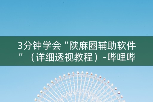 3分钟学会“陕麻圈辅助软件”（详细透视教程）-哔哩哔哩
