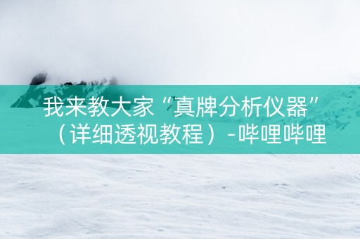 我来教大家“真牌分析仪器”（详细透视教程）-哔哩哔哩