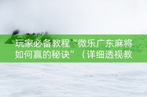 玩家必备教程“微乐广东麻将如何赢的秘诀”（详细透视教程）-哔哩哔哩