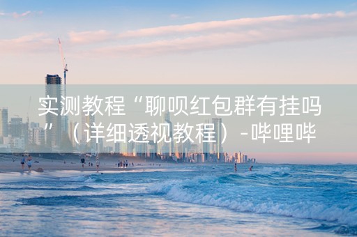 实测教程“聊呗红包群有挂吗”（详细透视教程）-哔哩哔哩