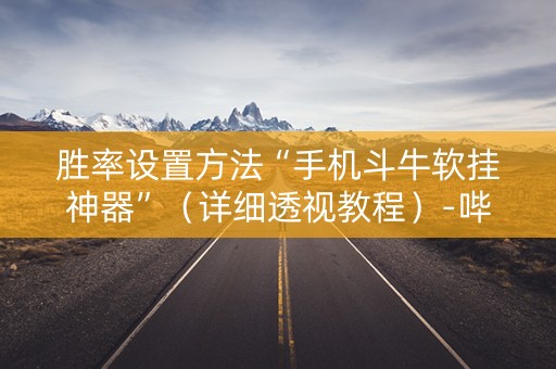 胜率设置方法“手机斗牛软挂神器”（详细透视教程）-哔哩哔哩
