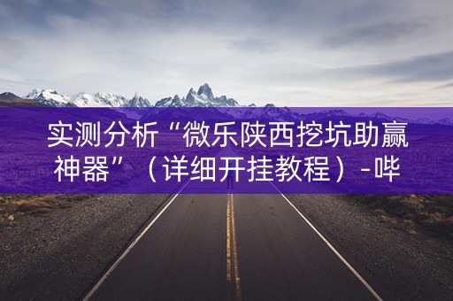 实测分析“微乐陕西挖坑助赢神器”（详细开挂教程）-哔哩哔哩