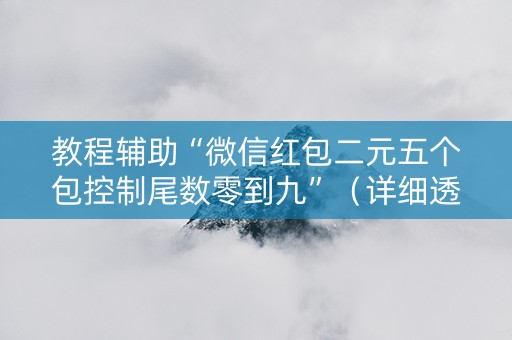 教程辅助“微信红包二元五个包控制尾数零到九”（详细透视教程）-哔哩哔哩