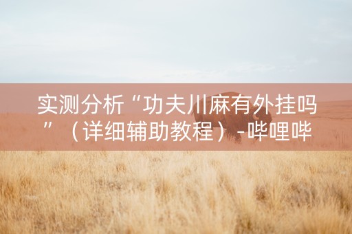 实测分析“功夫川麻有外挂吗”（详细辅助教程）-哔哩哔哩